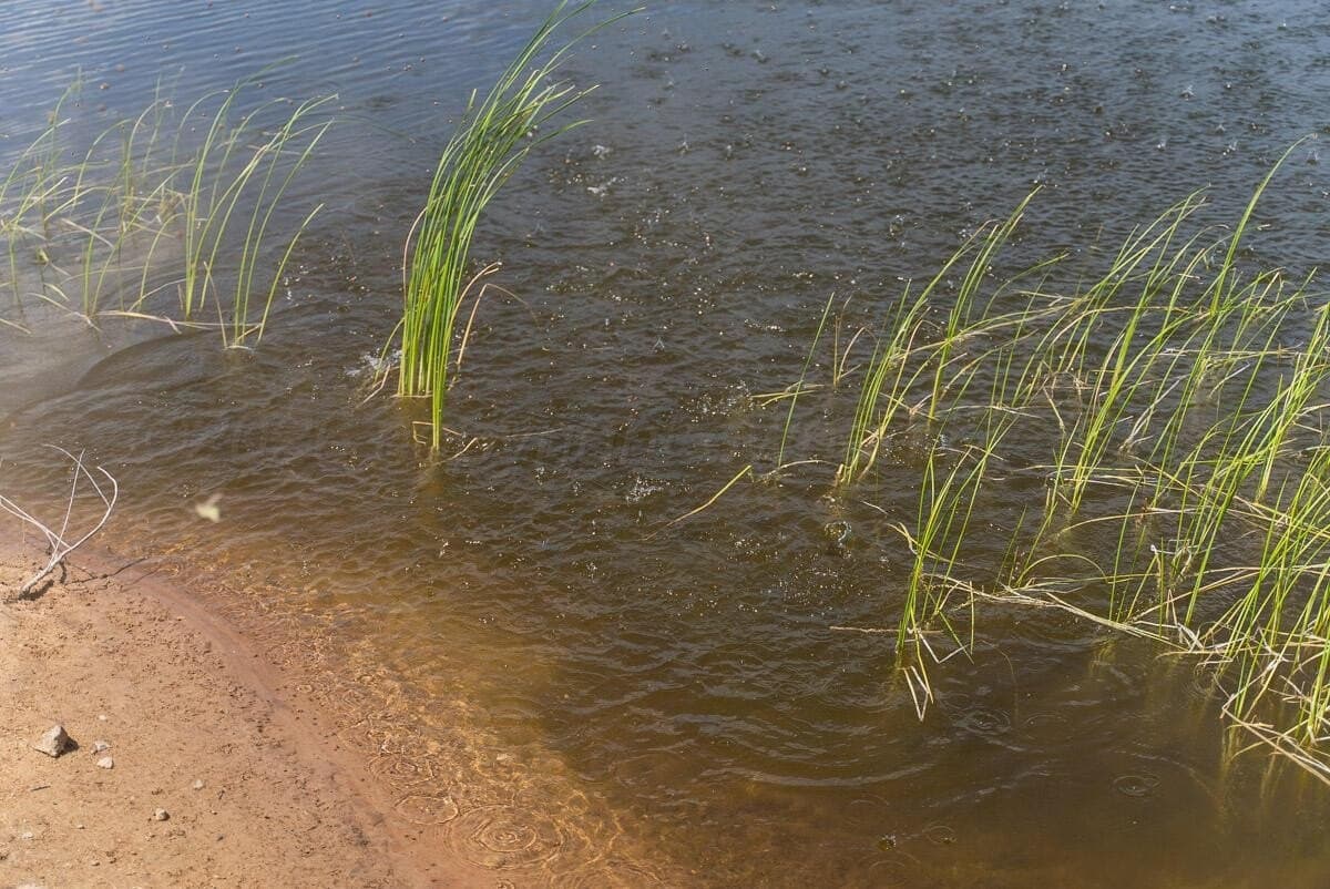 640 acres in Wheeler County - photo 11