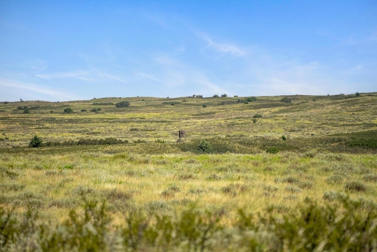 640 acres in Wheeler County - photo 13