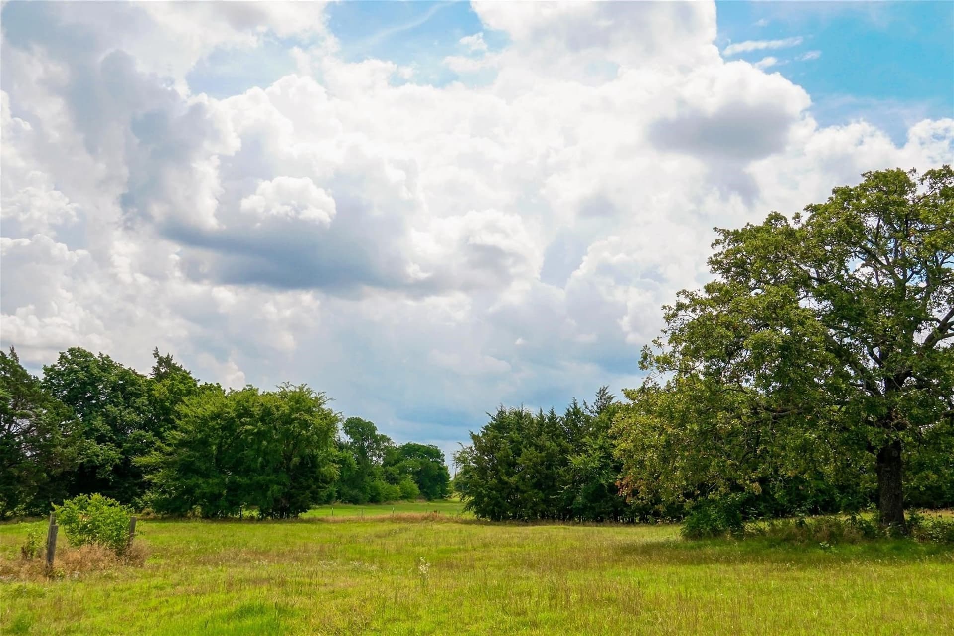 35.27 acres in Grayson County - photo 7