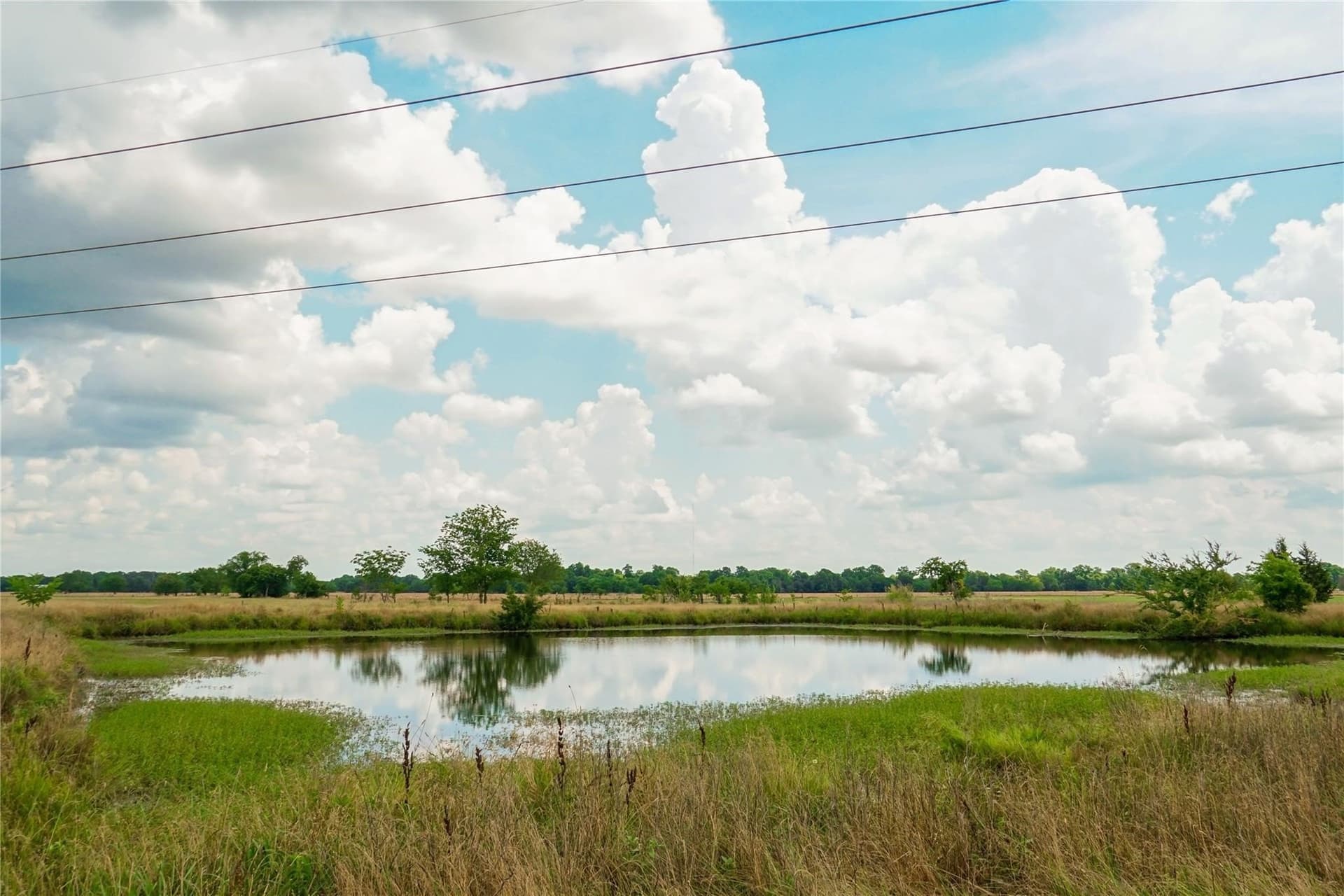 35.27 acres in Grayson County - photo 5