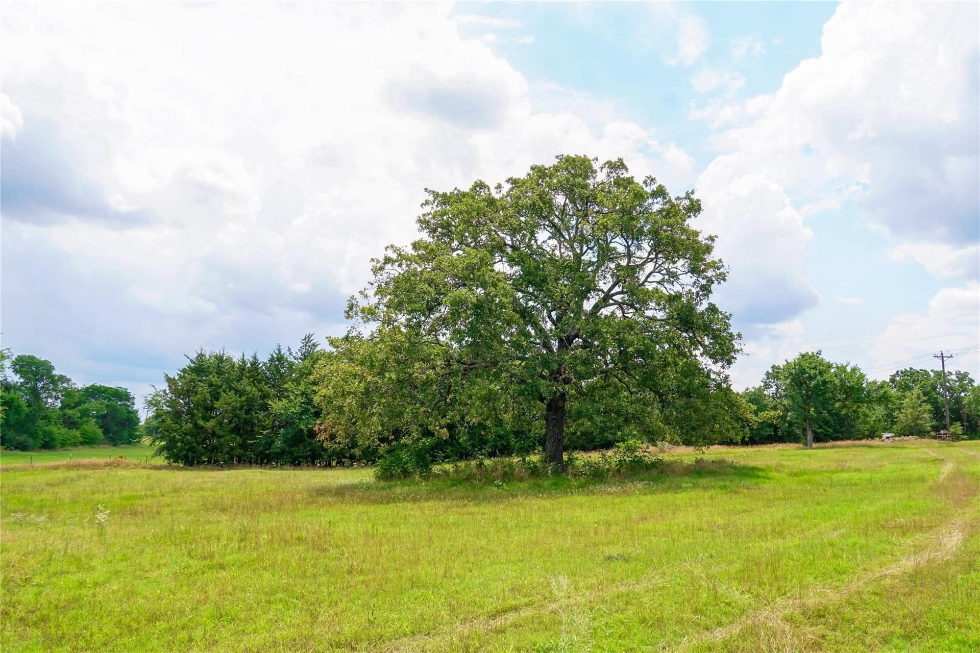 35.27 acres in Grayson County - photo 6