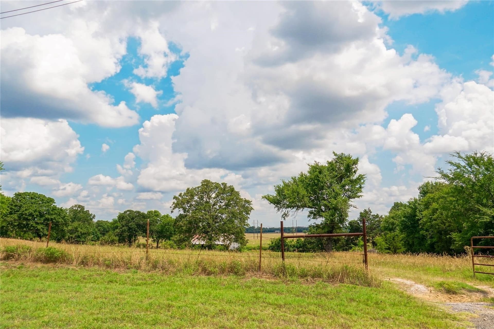 35.27 acres in Grayson County - photo 8