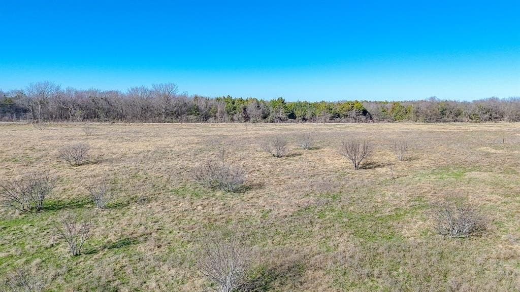 5.03 acres in Navarro County gallery image 2
