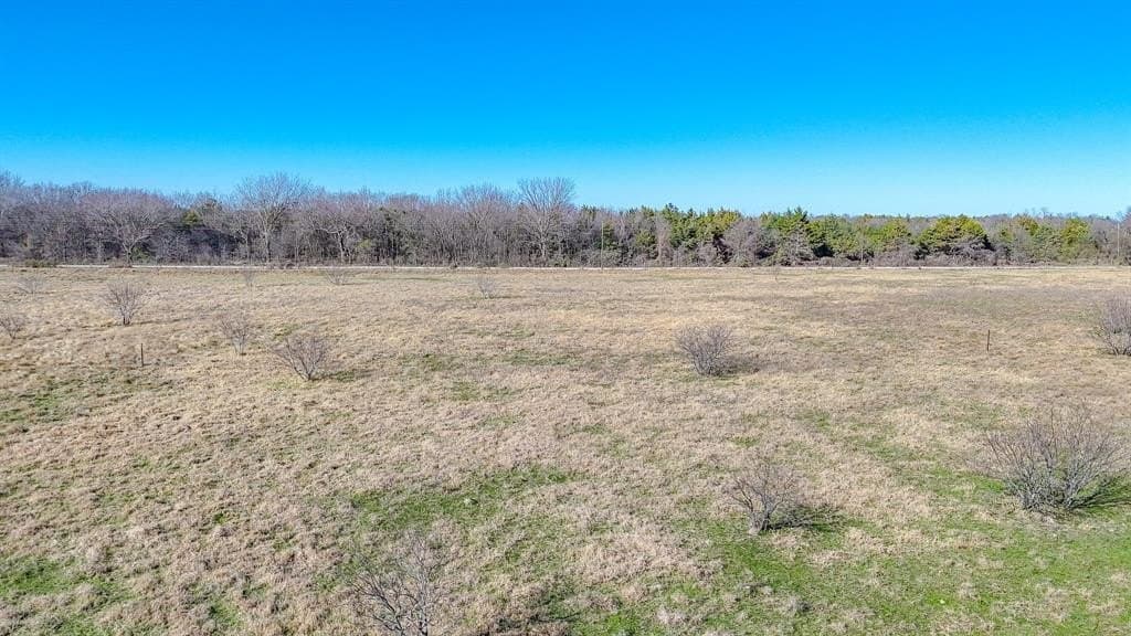 5.03 acres in Navarro County gallery image 3