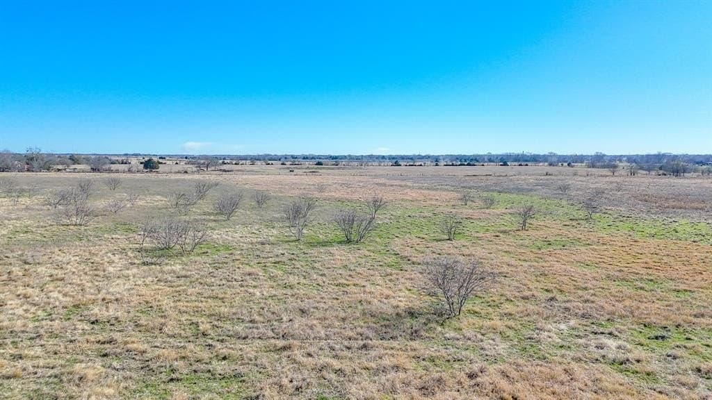 5.03 acres in Navarro County gallery image 4