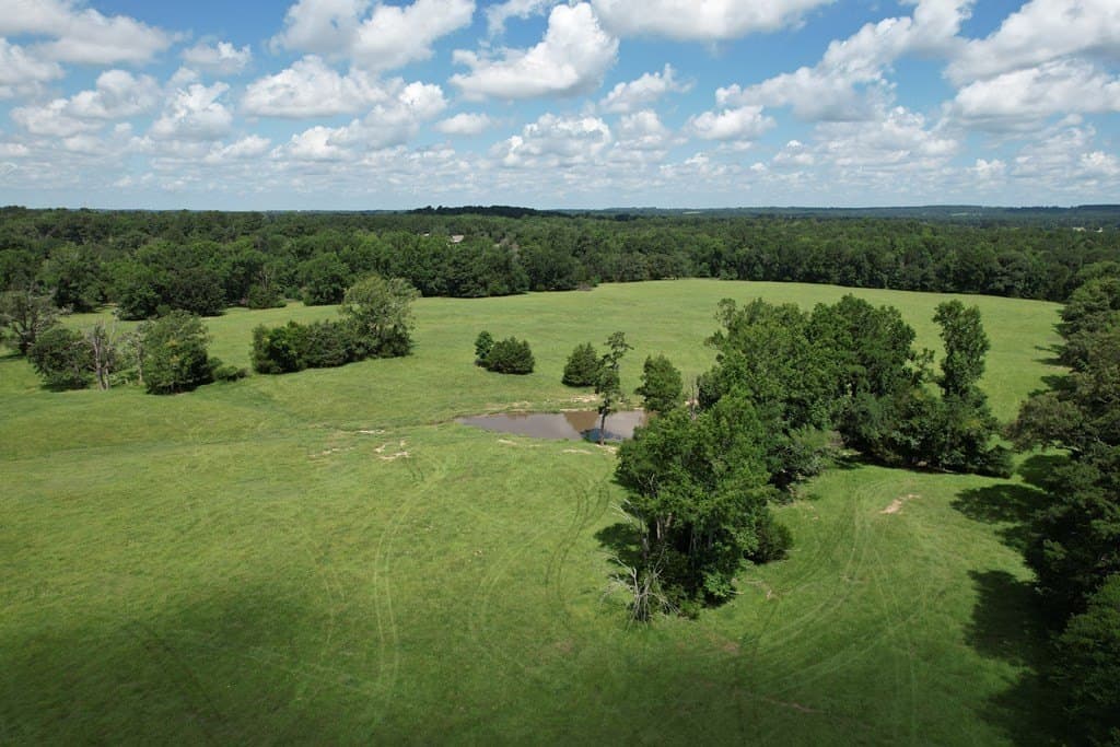 95.41 acres in Texas County - photo 14