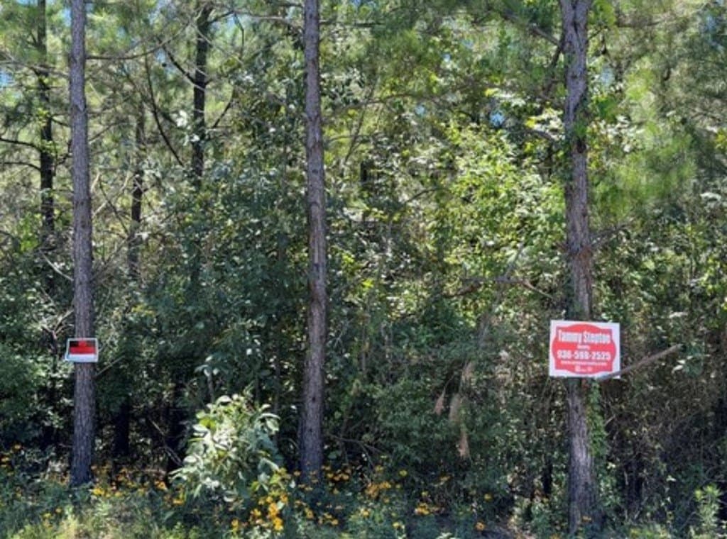 15.34 acres in Texas County - photo 3