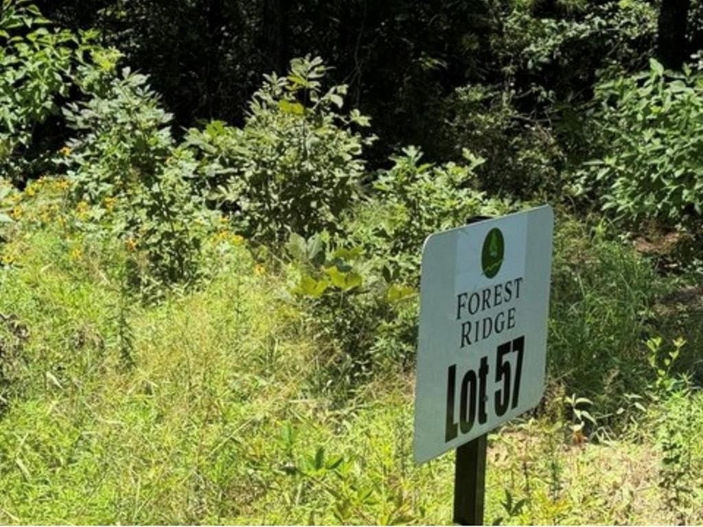 15.34 acres in Texas County