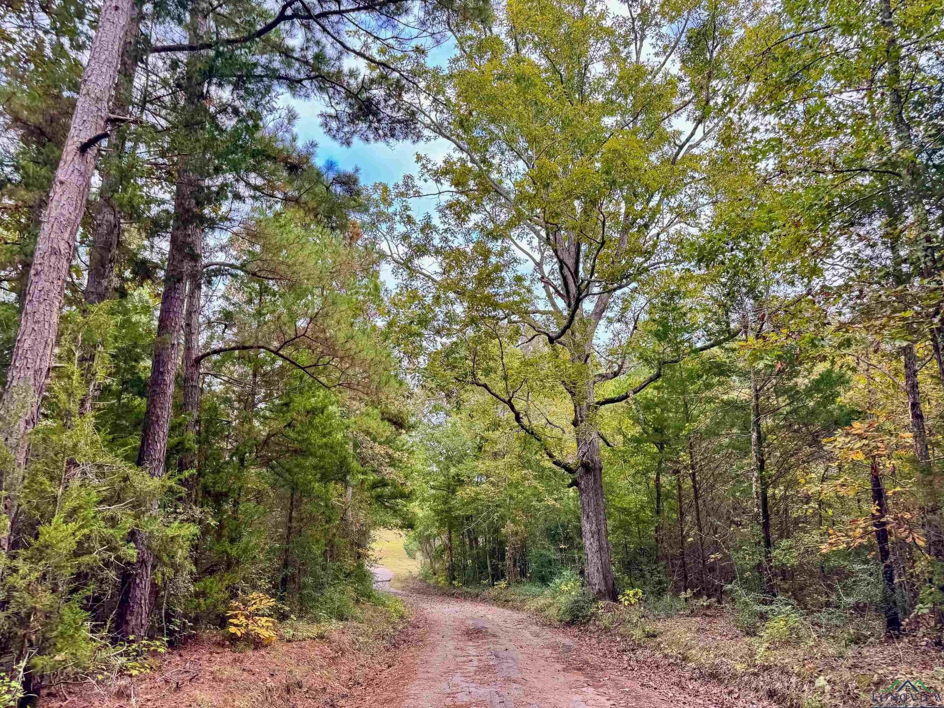 92.41 acres in Cass County