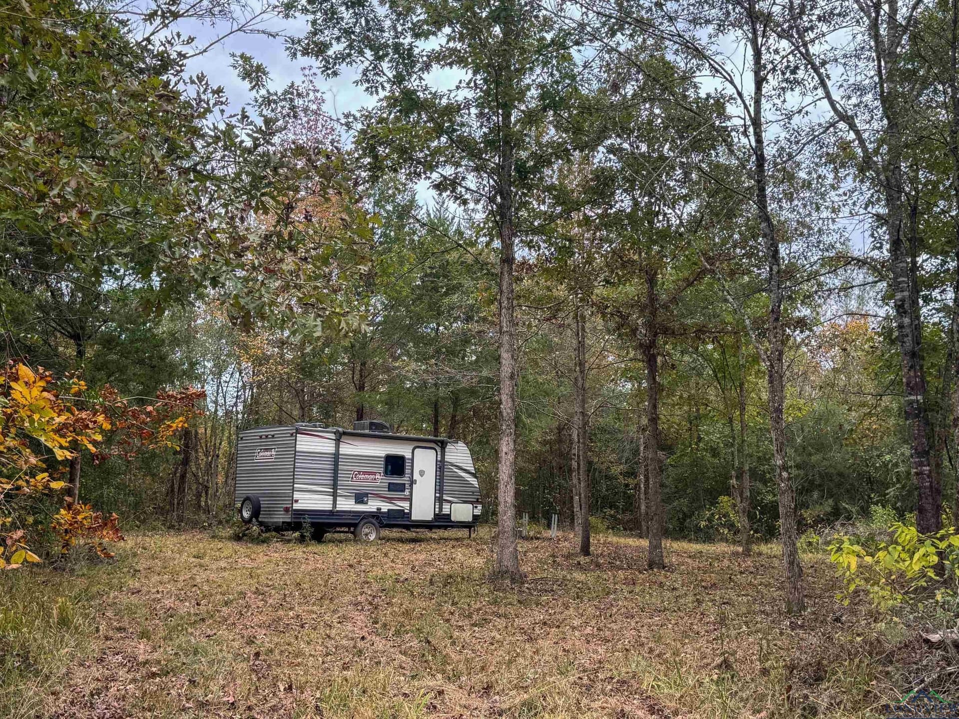 92.41 acres in Cass County featured view