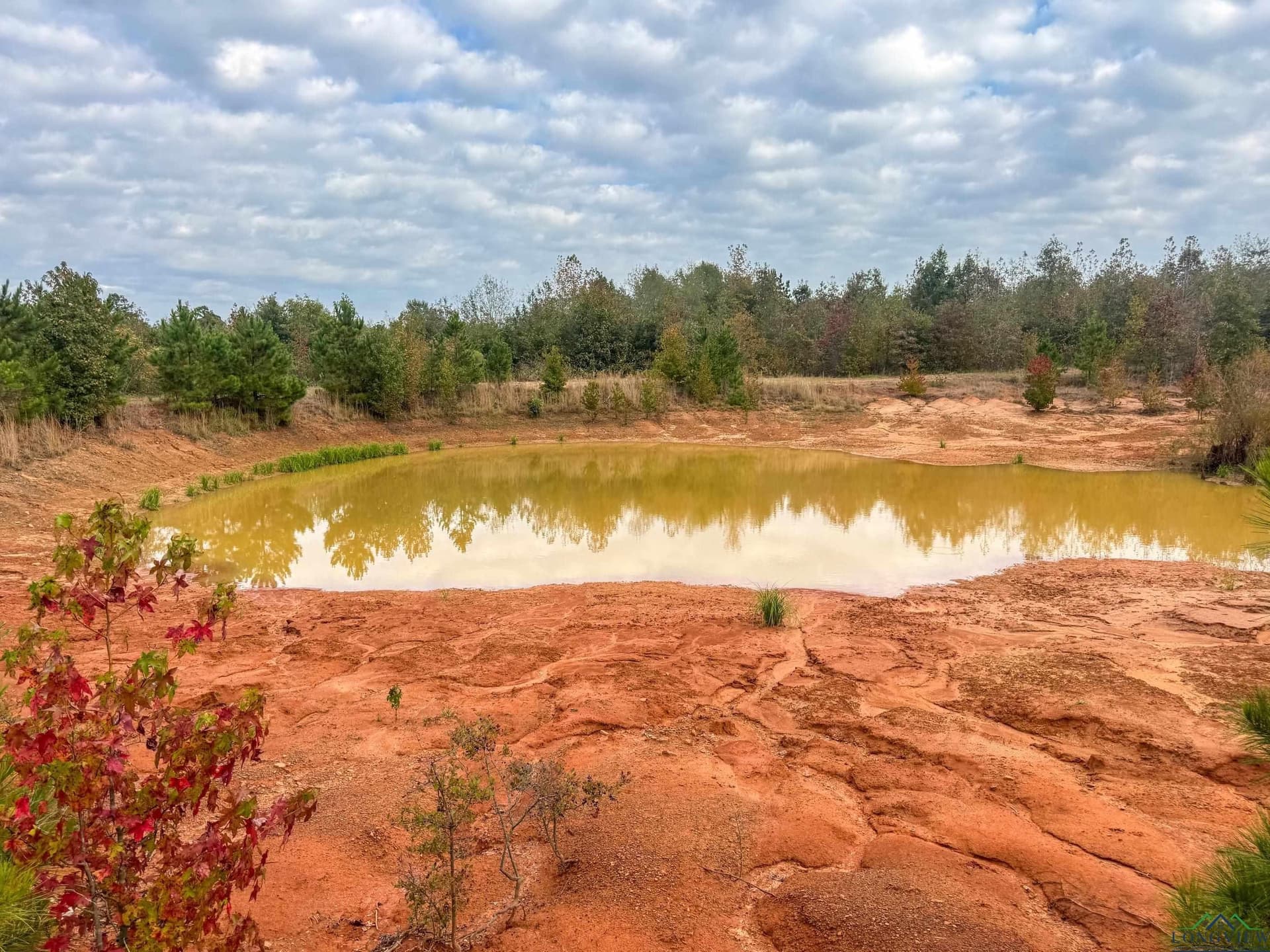 92.41 acres in Cass County gallery image 2