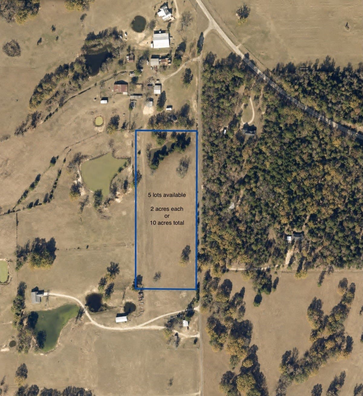 2 acres in Rains County gallery image 3