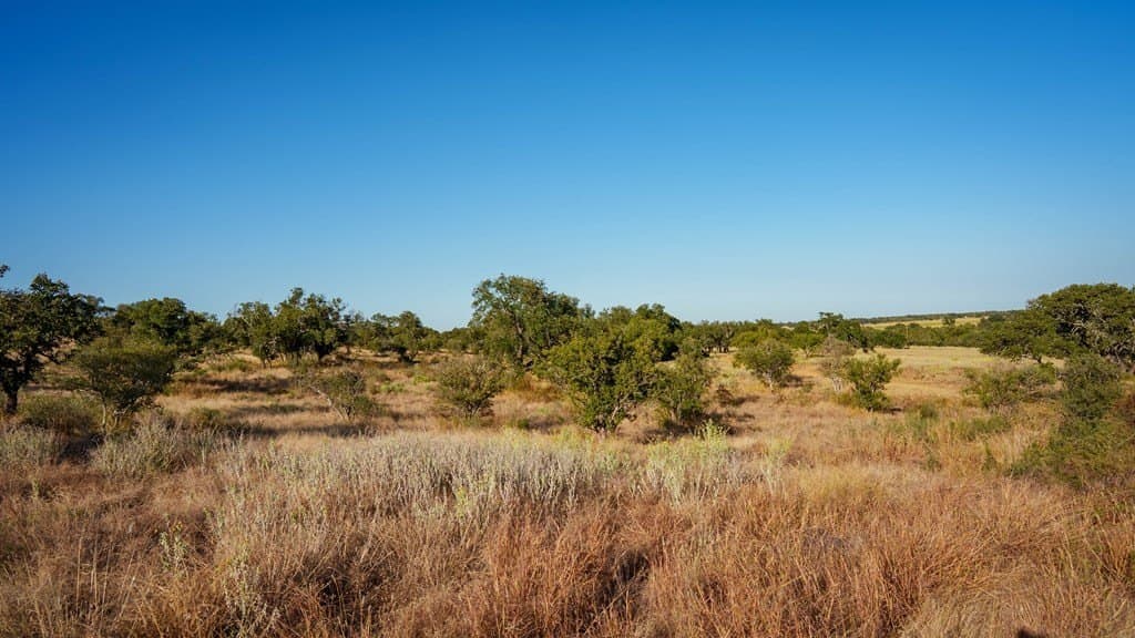 46 acres in Mason County featured view