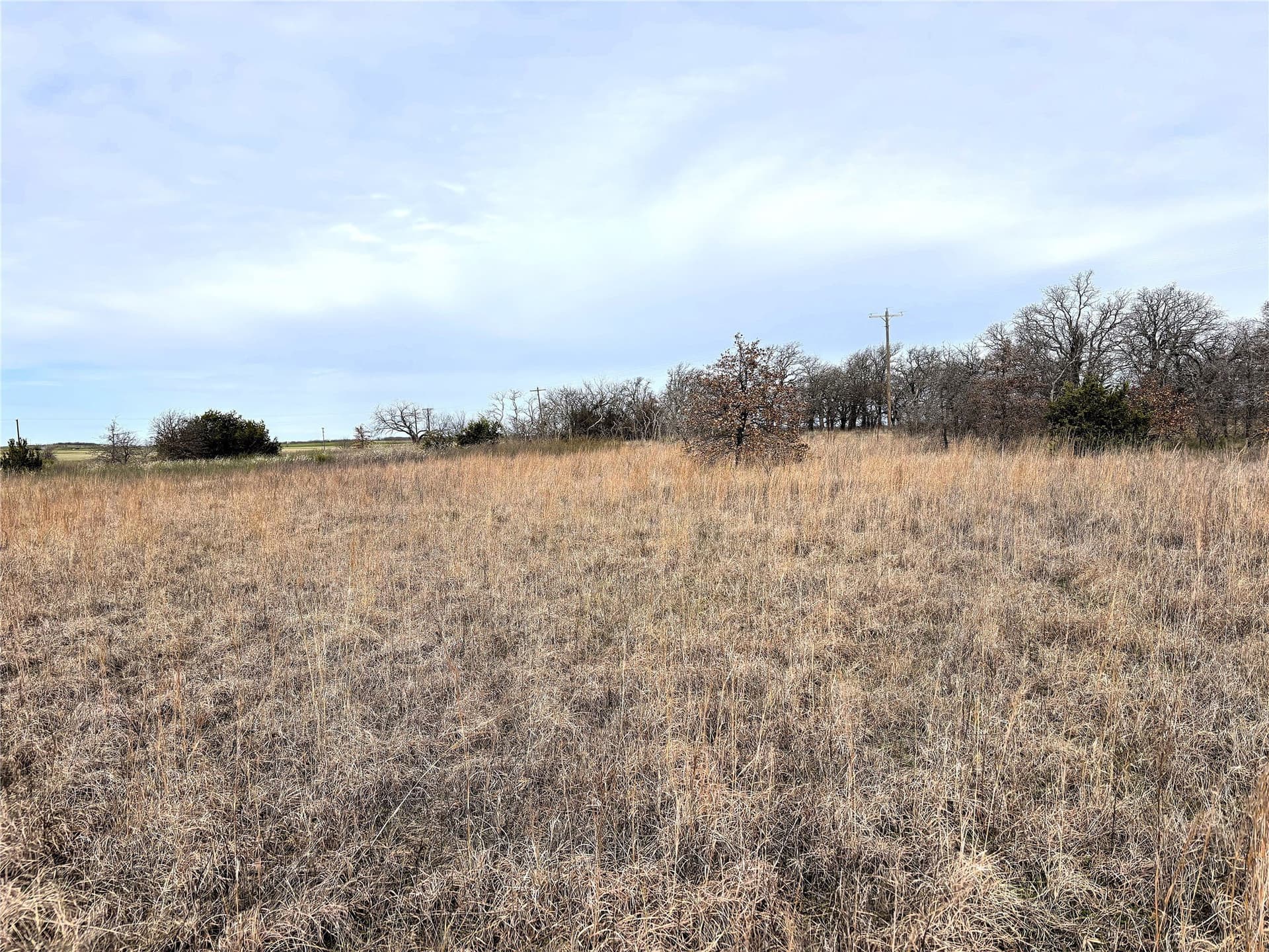 8.39 acres in Clay County - photo 7