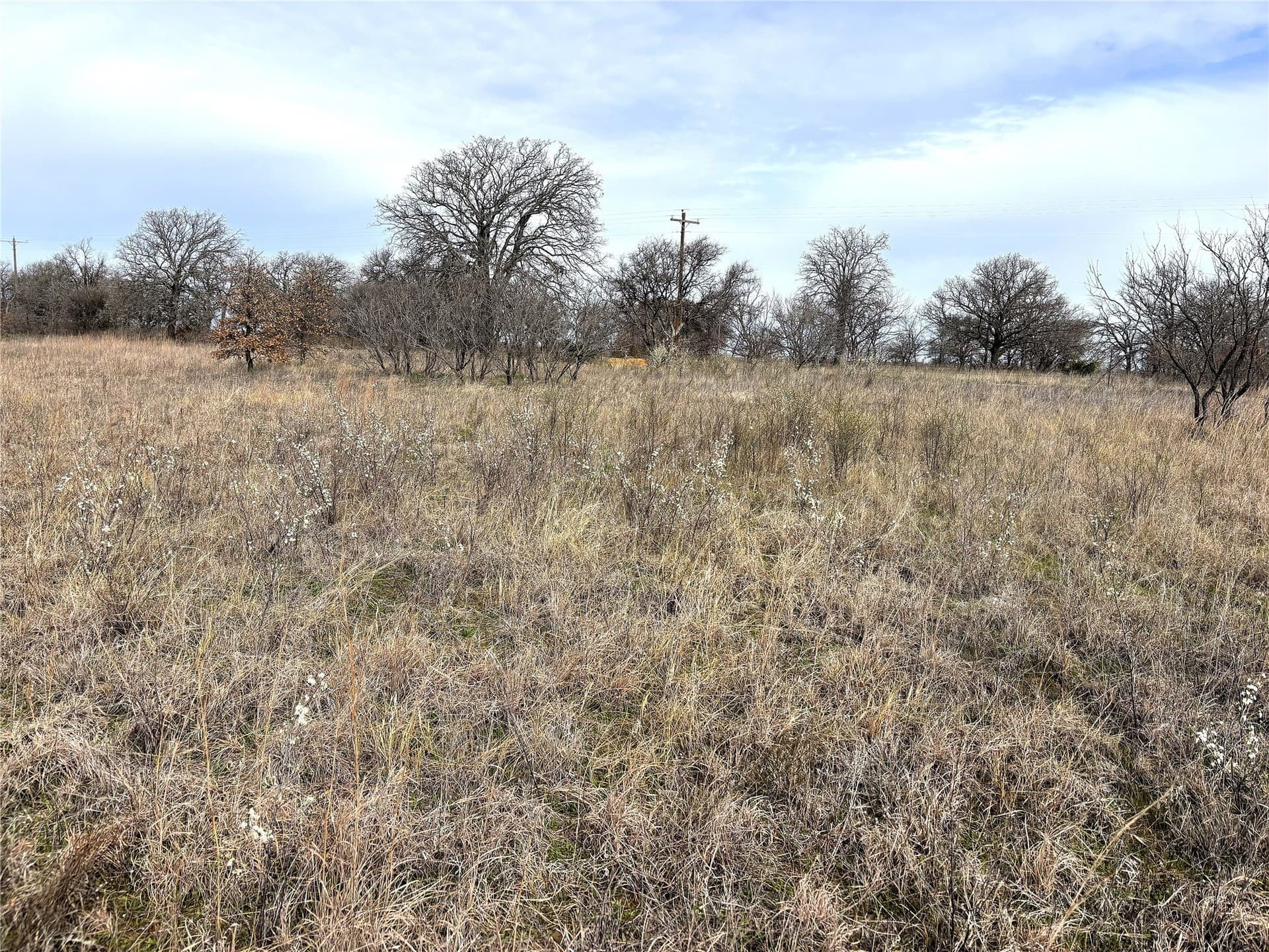 8.39 acres in Clay County - photo 10