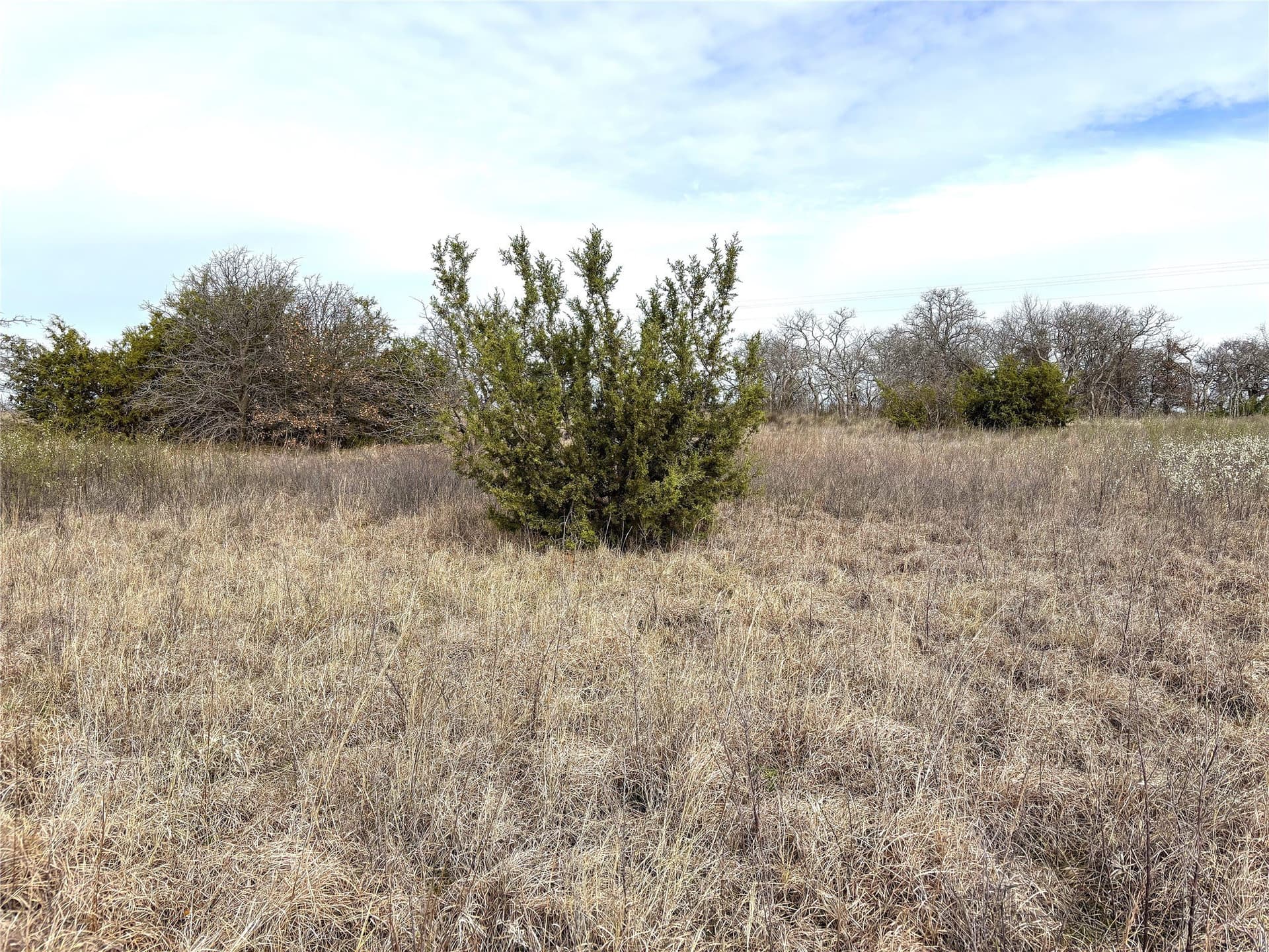 8.39 acres in Clay County - photo 13