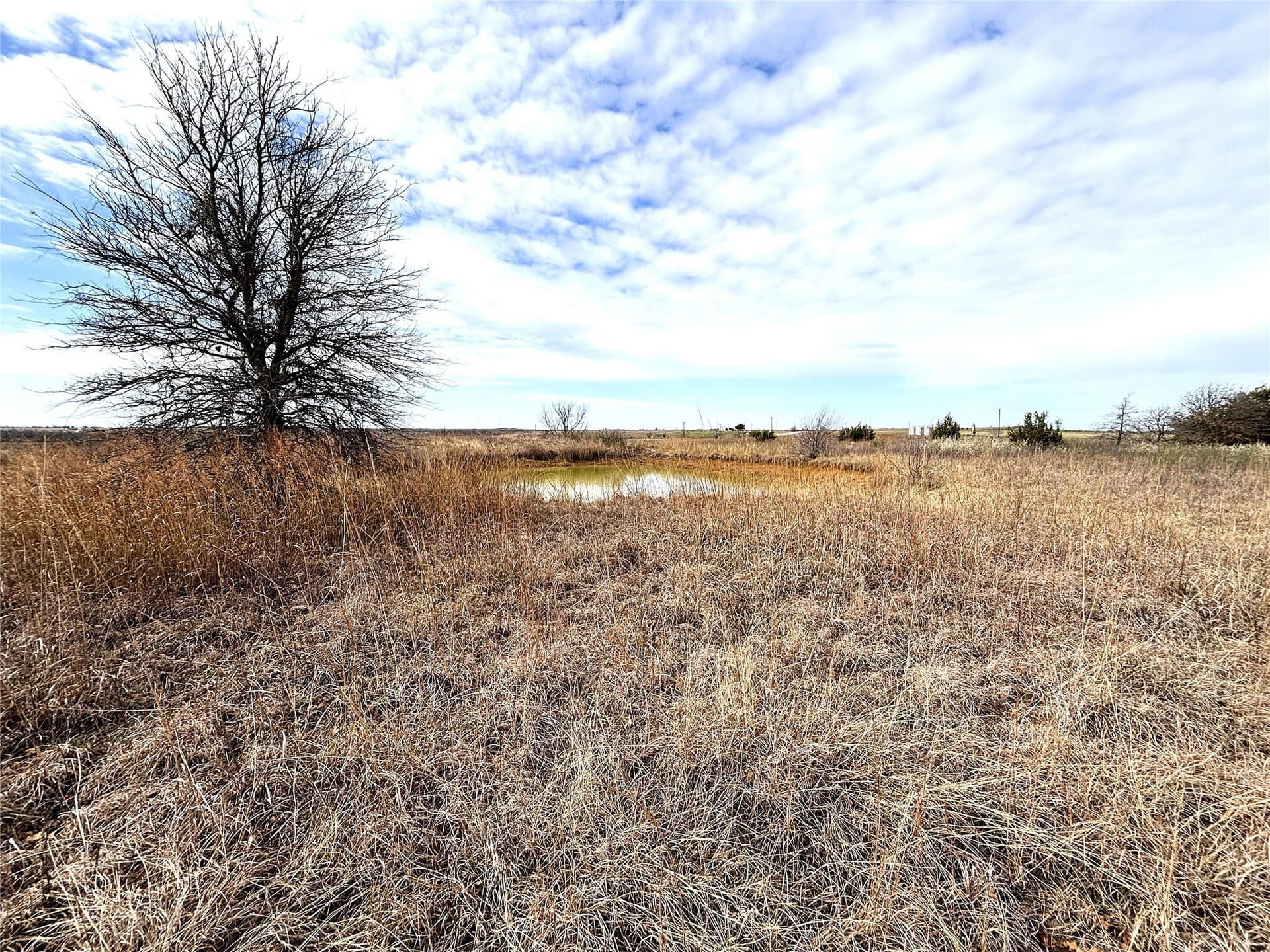 8.39 acres in Clay County - photo 4