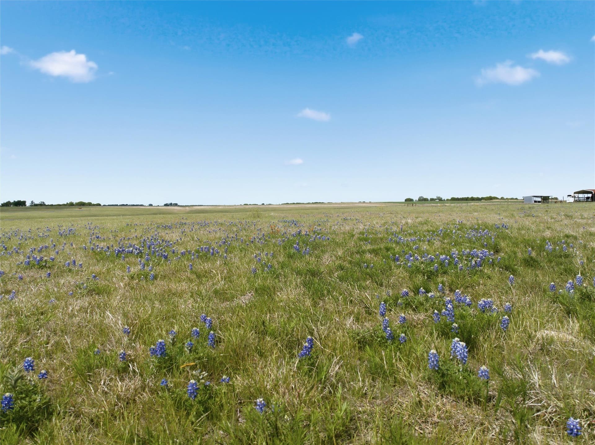 3 acres in McLennan County - photo 3
