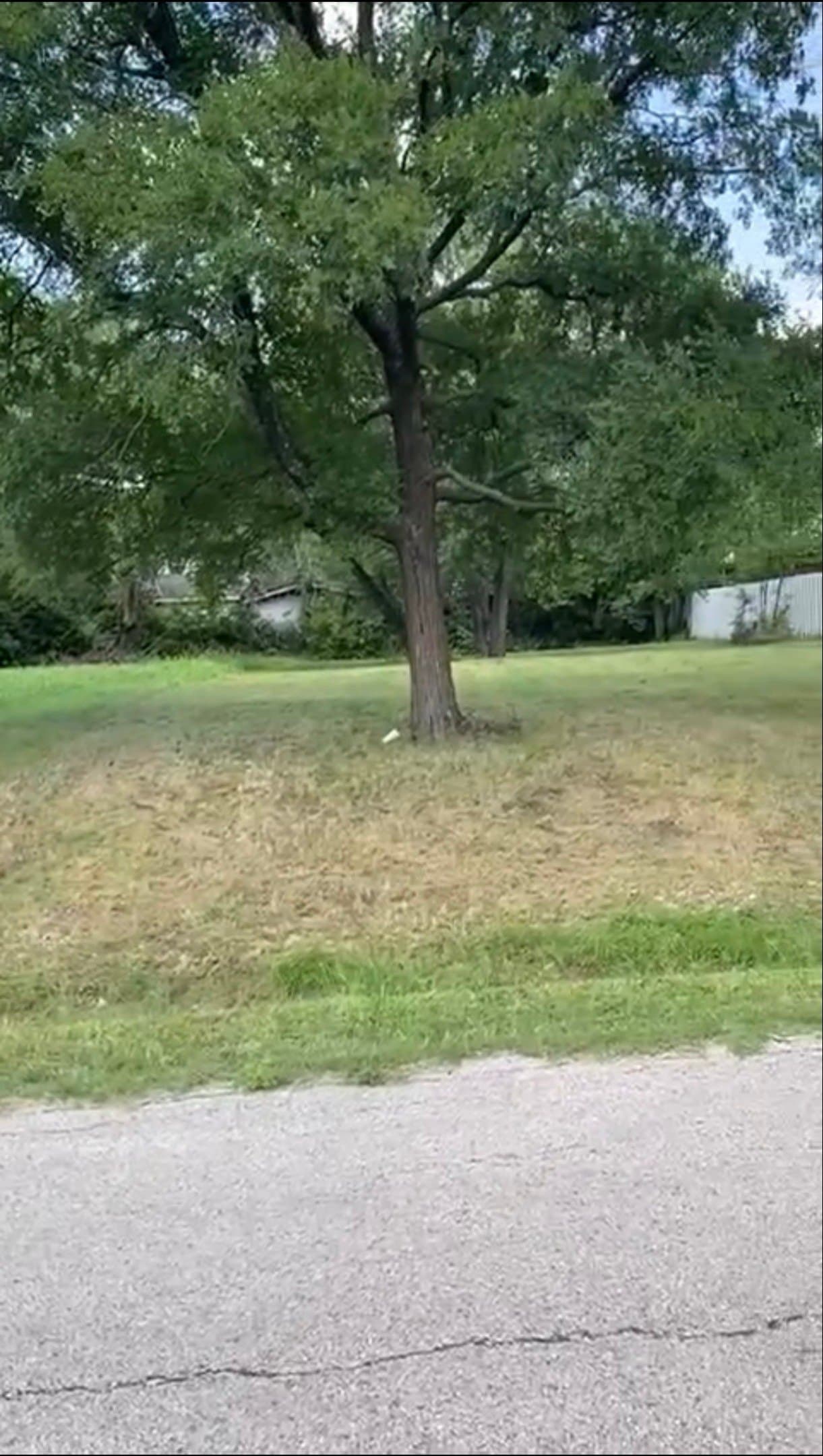 0.17 acres in Dallas County - photo 2
