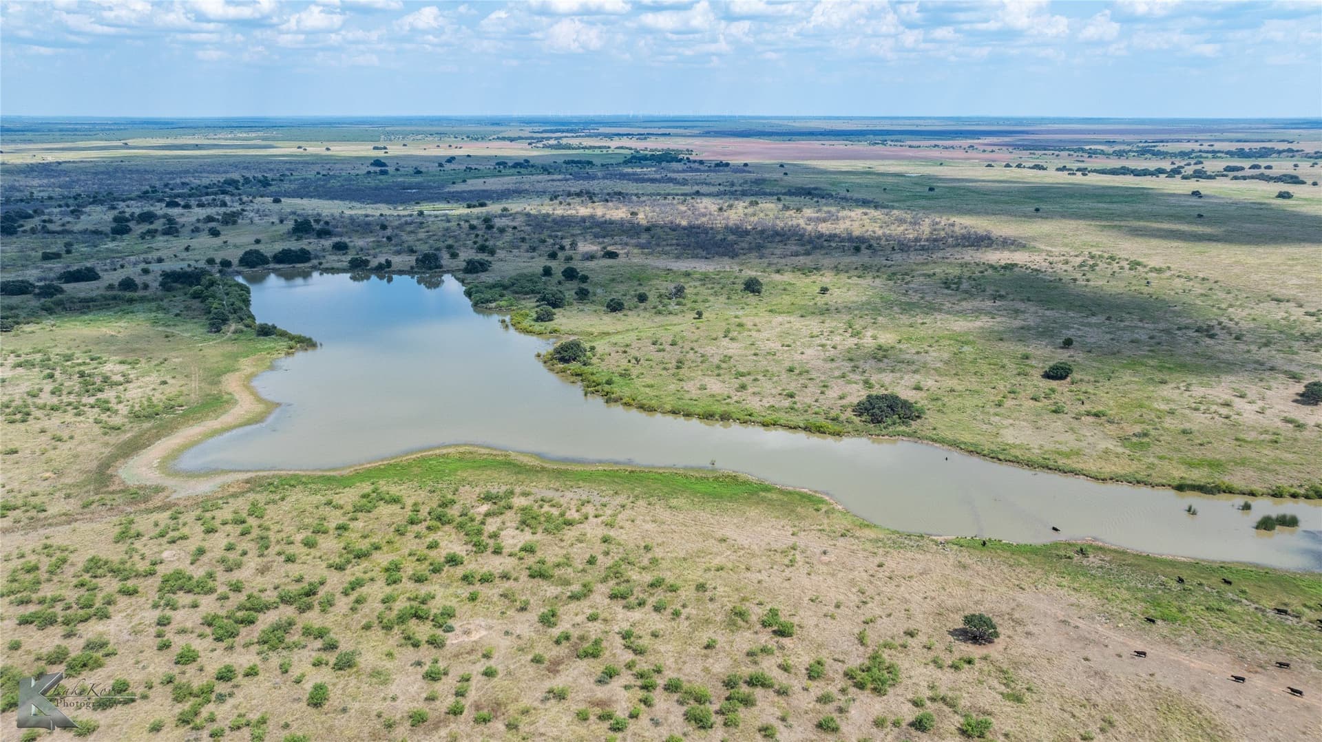 1,232 acres in Throckmorton County gallery image 2