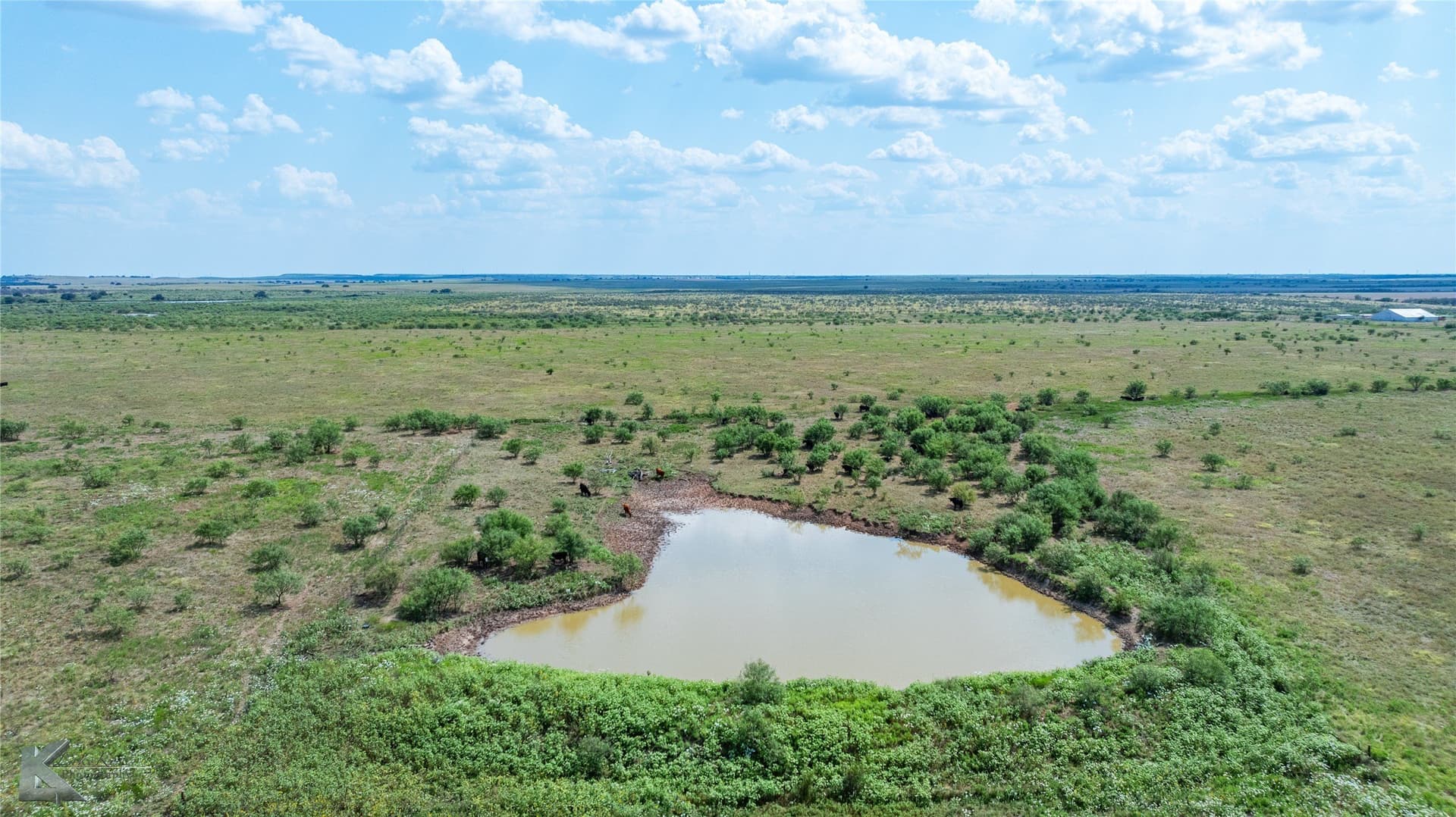 1,232 acres in Throckmorton County - photo 10