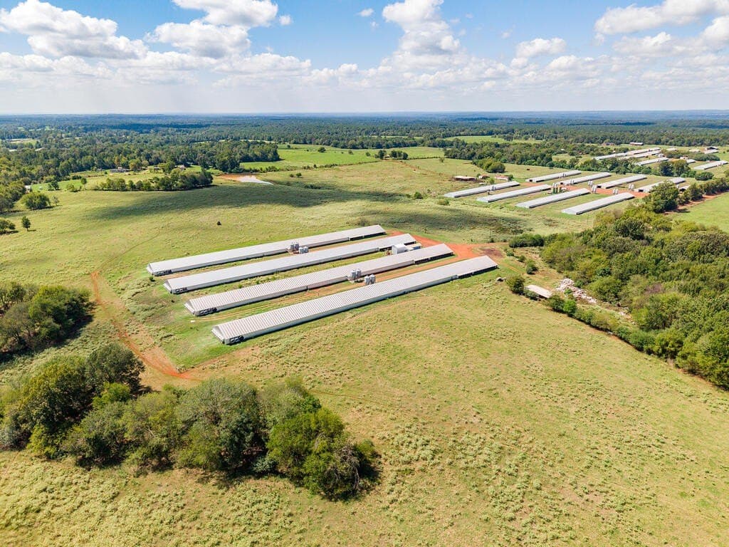 60 acres in Texas County - photo 8