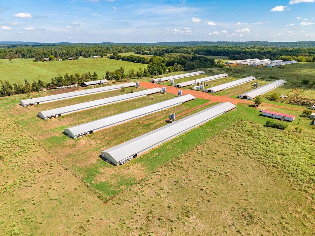 60 acres in Texas County - photo 3