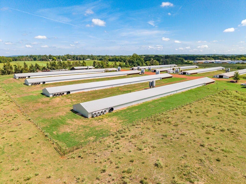 60 acres in Texas County - photo 4