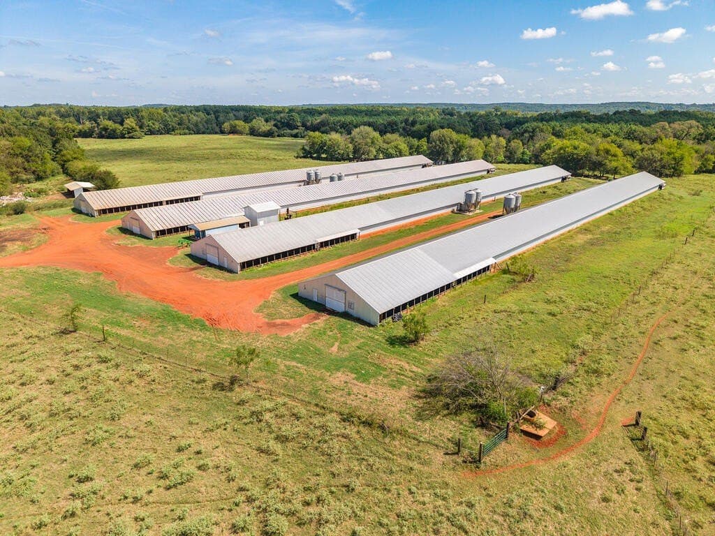 60 acres in Texas County - photo 6