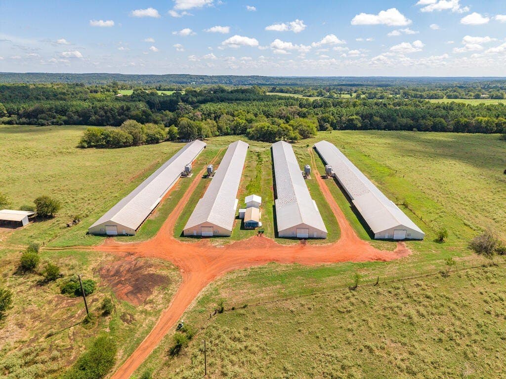 60 acres in Texas County - photo 7