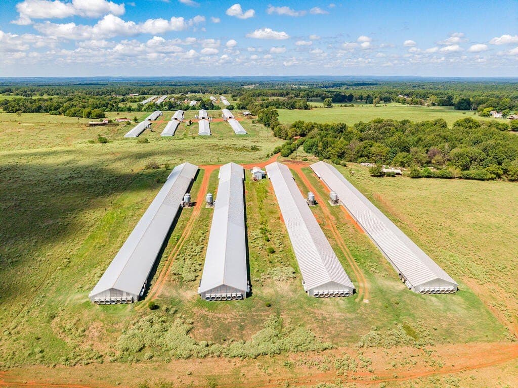 60 acres in Texas County - photo 9