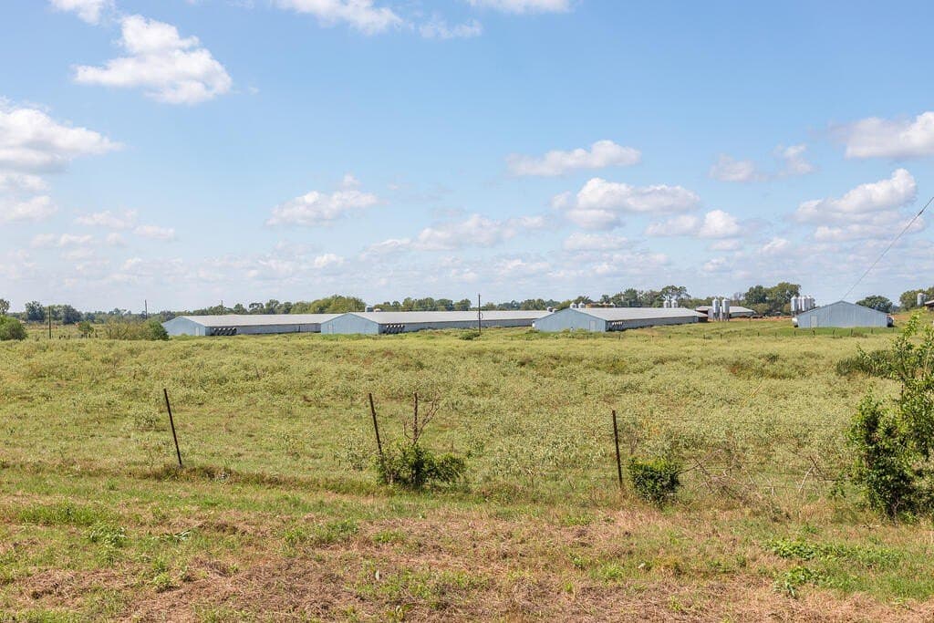 60 acres in Texas County - photo 12