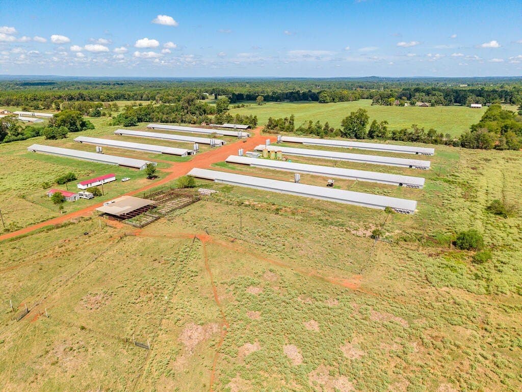 60 acres in Texas County - photo 10