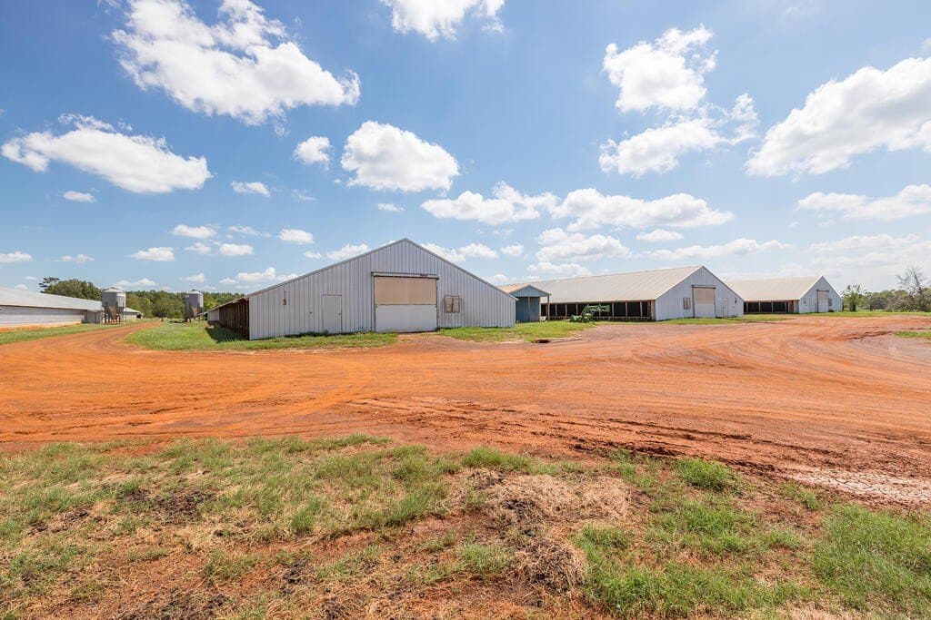 60 acres in Texas County - photo 14