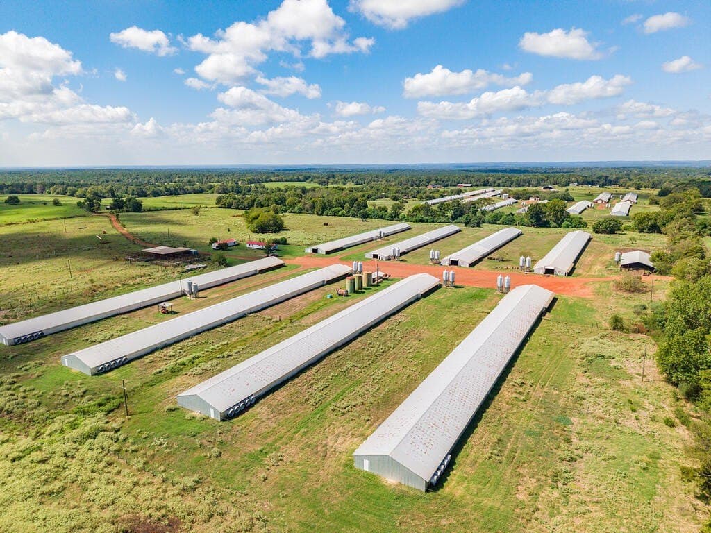 60 acres in Texas County - photo 5