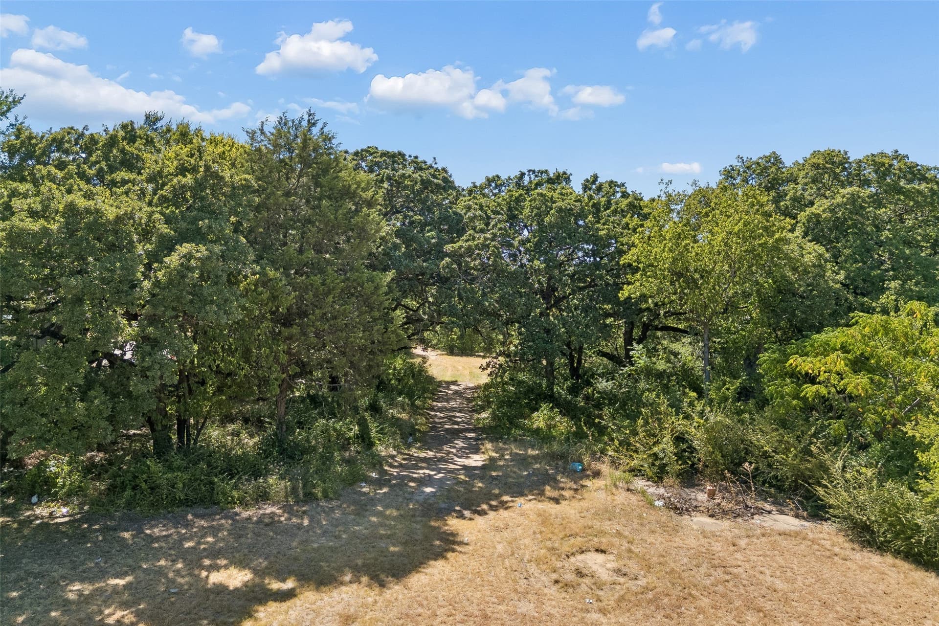 2.88 acres in Dallas County - photo 3