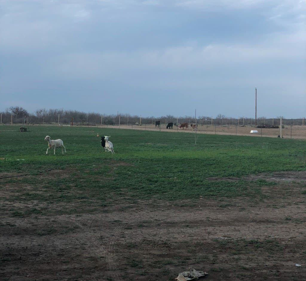 30 acres in Maverick County featured view
