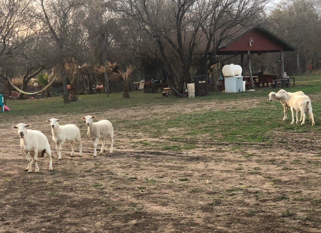 30 acres in Maverick County gallery image 4