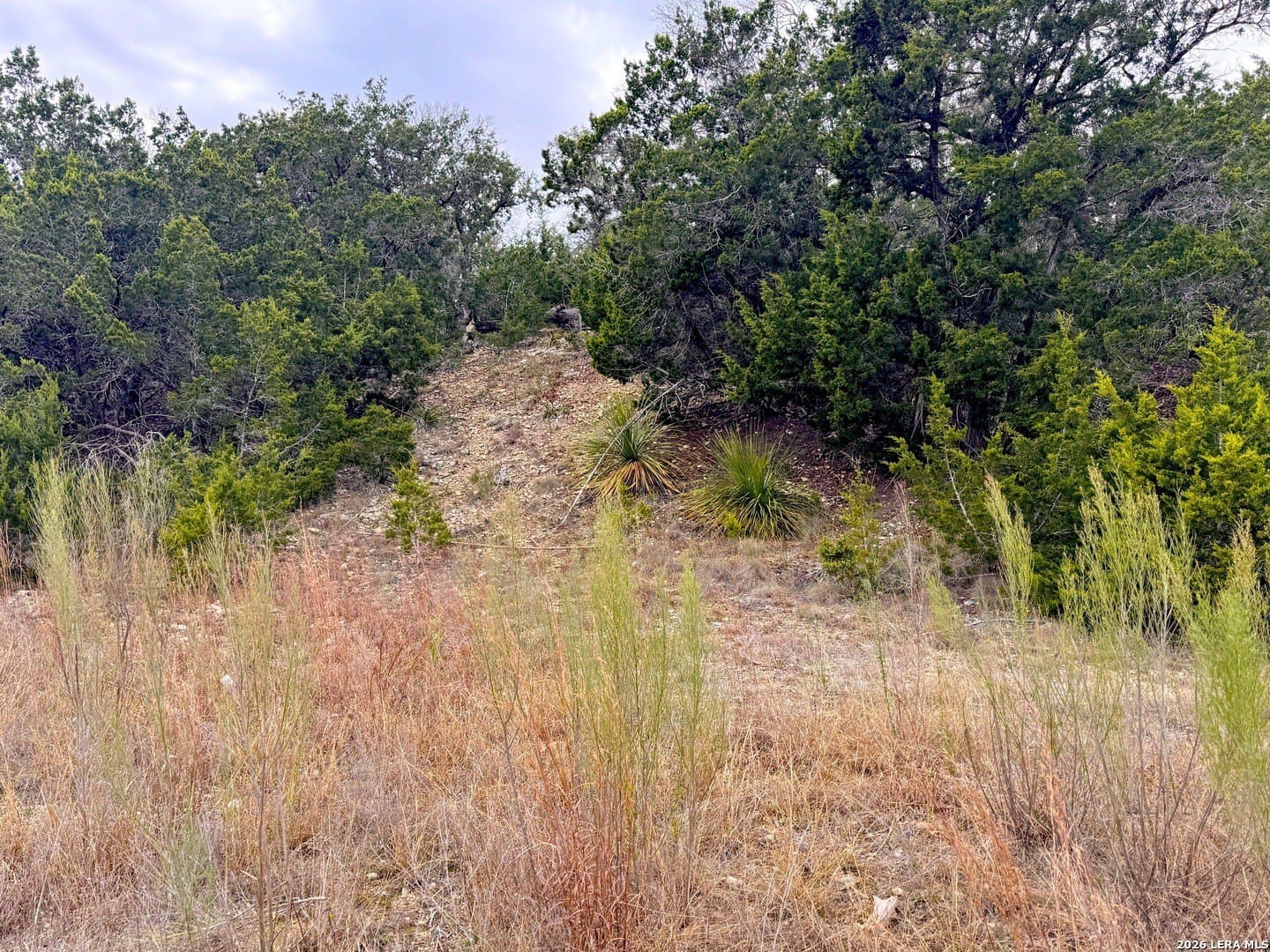 1.01 acres in Comal County - photo 19