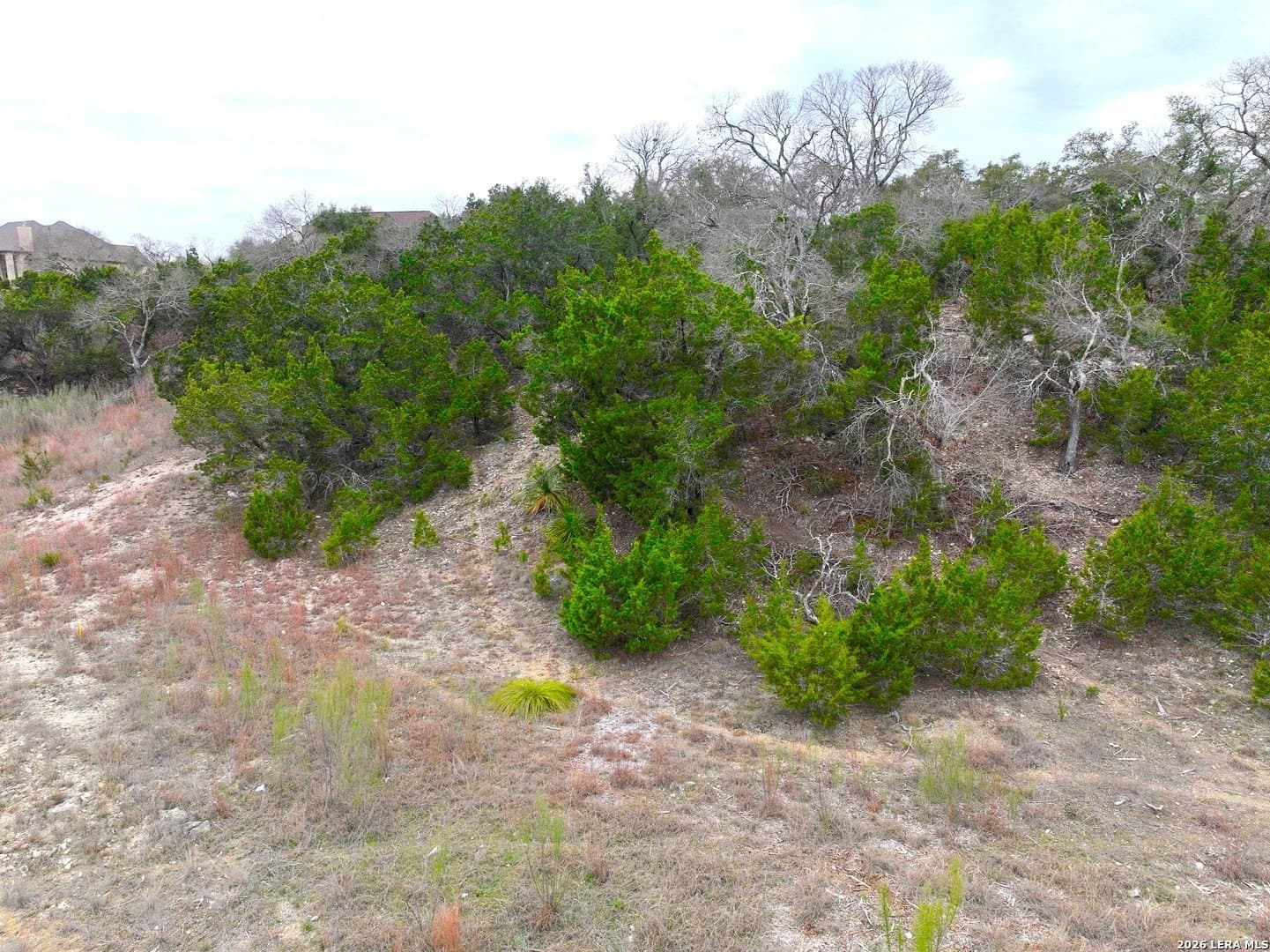 1.01 acres in Comal County - photo 9