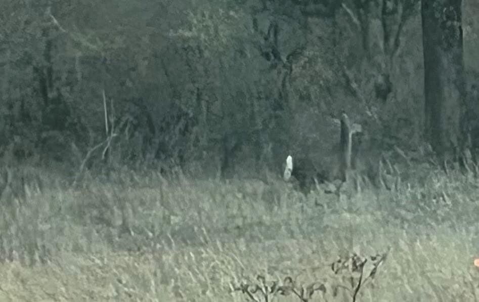 10.01 acres in Hamilton County featured view