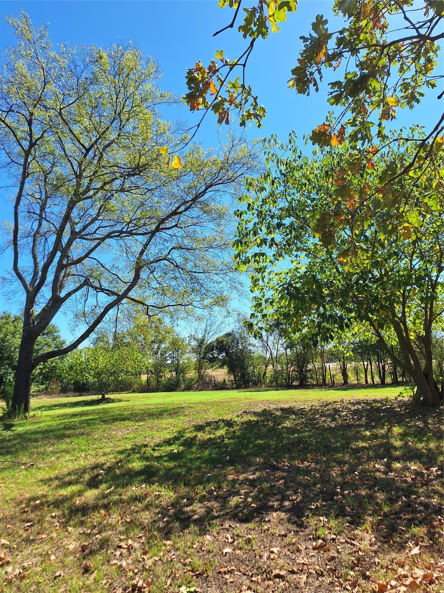 0.21 acres in Hopkins County - photo 6