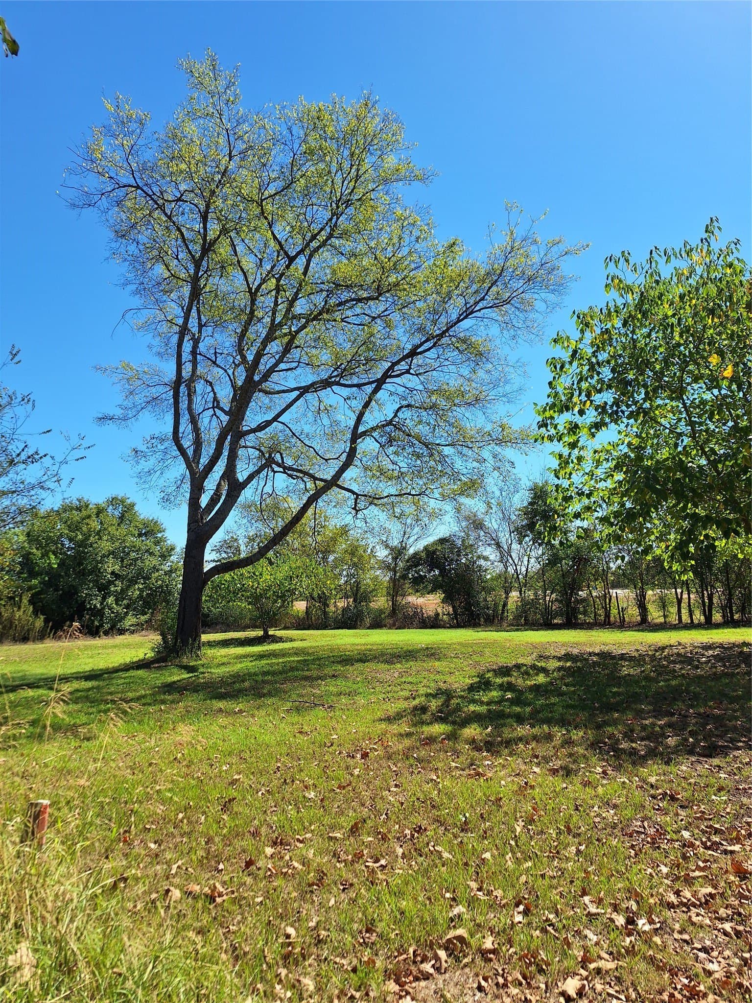0.21 acres in Hopkins County - photo 9