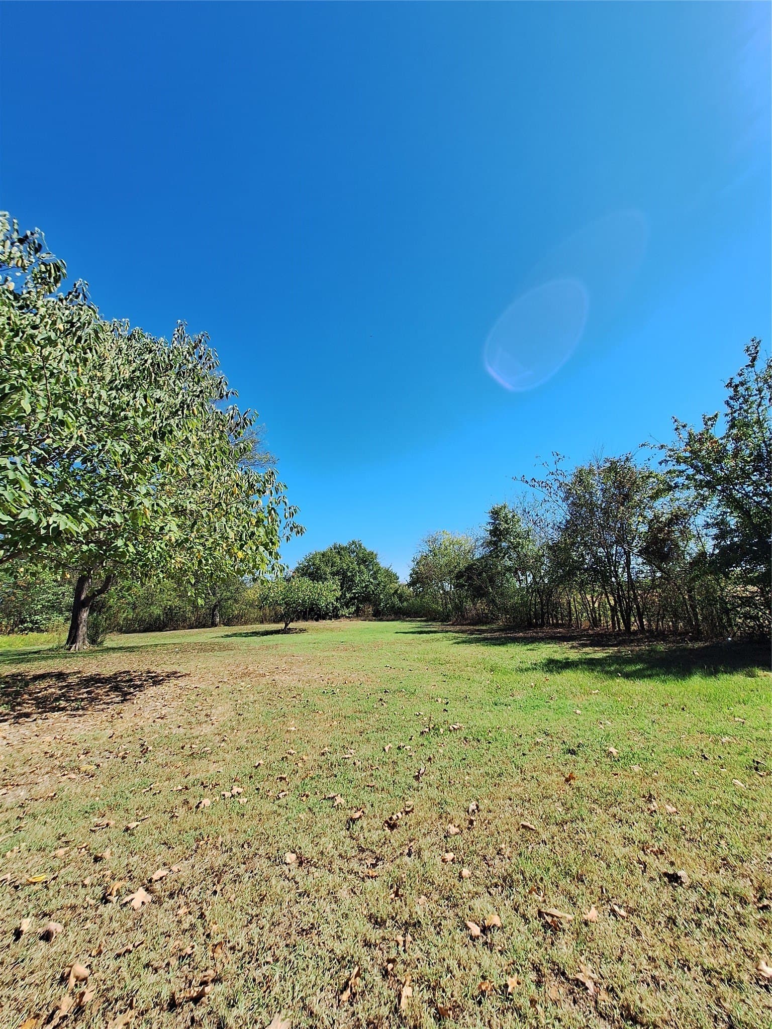0.21 acres in Hopkins County - photo 7
