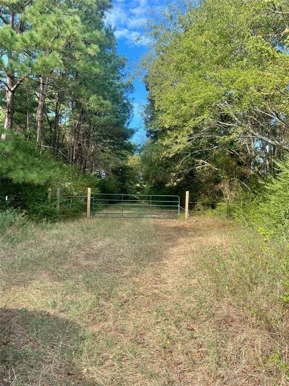 10 acres in Camp County gallery image 2