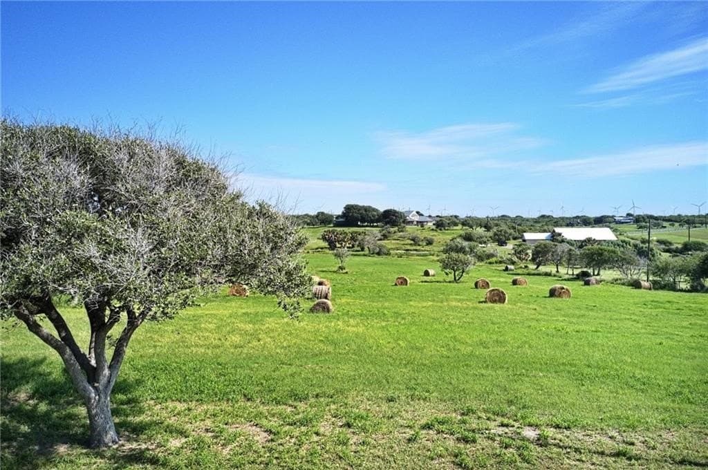 5.42 acres in San Patricio County - photo 4