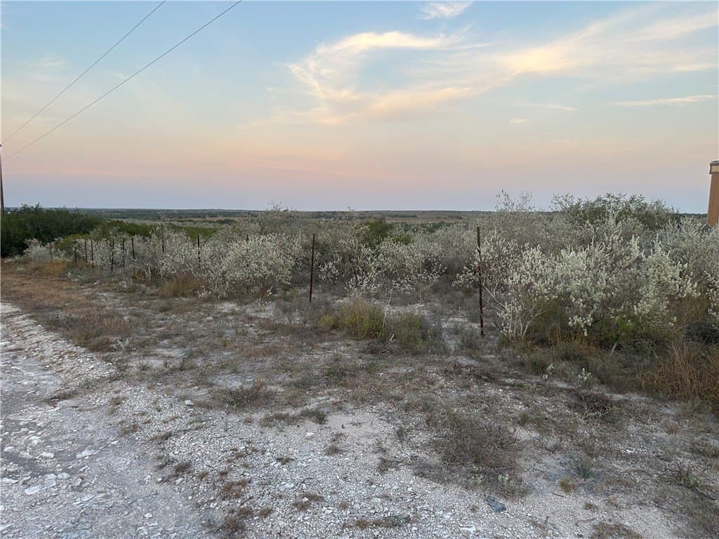 100,000 acres in Live Oak County - photo 2