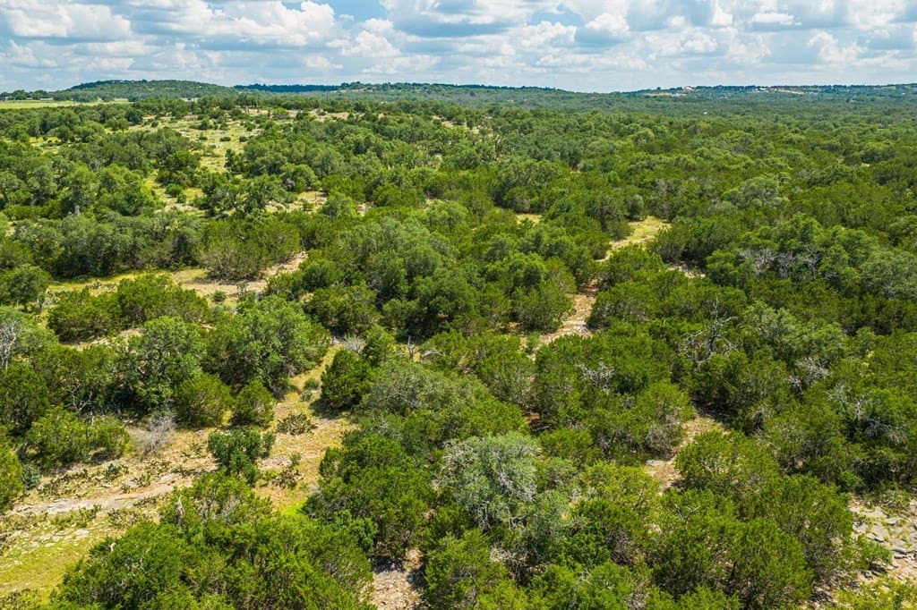 29.62 acres in Gillespie County - photo 22
