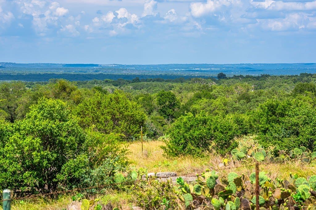 29.62 acres in Gillespie County gallery image 2