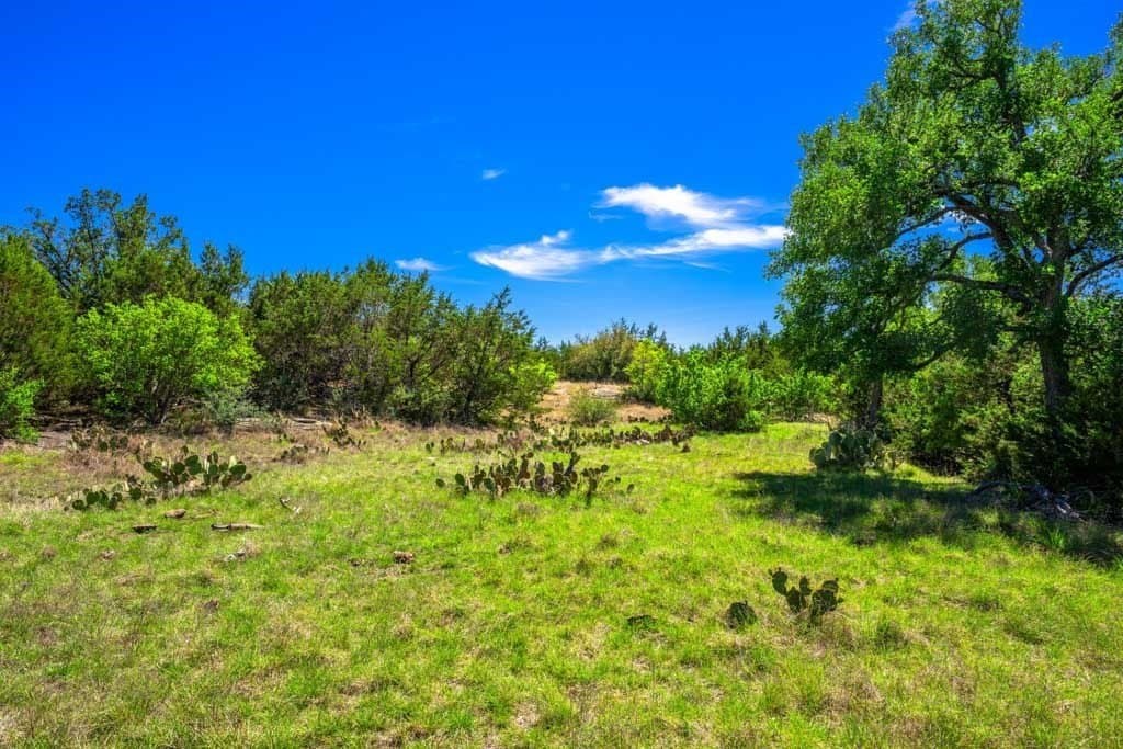 29.62 acres in Gillespie County - photo 8